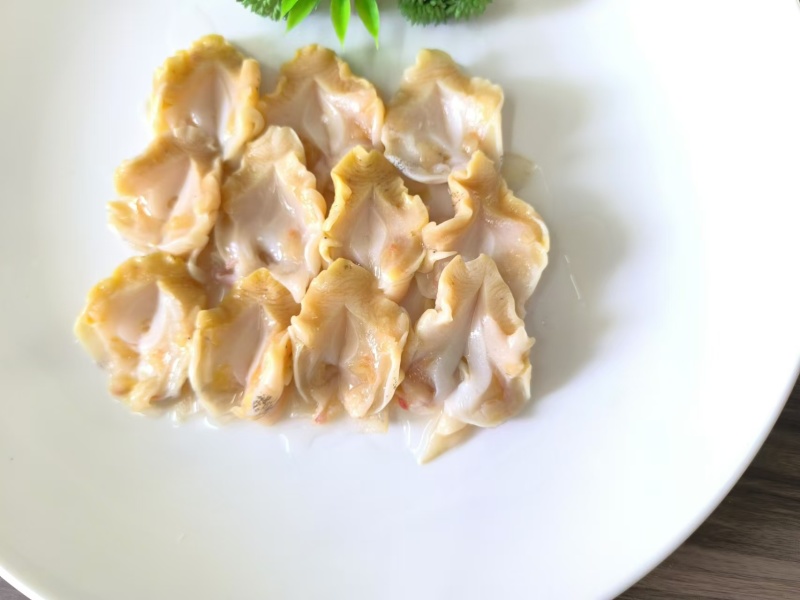 开片白螺肉精加工海螺头翡翠螺宴席炖盅试菜400g