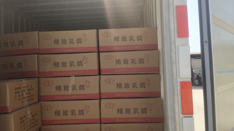 乳鸽老鸽，厂家现货全年大量供应，保质保量欢迎采购