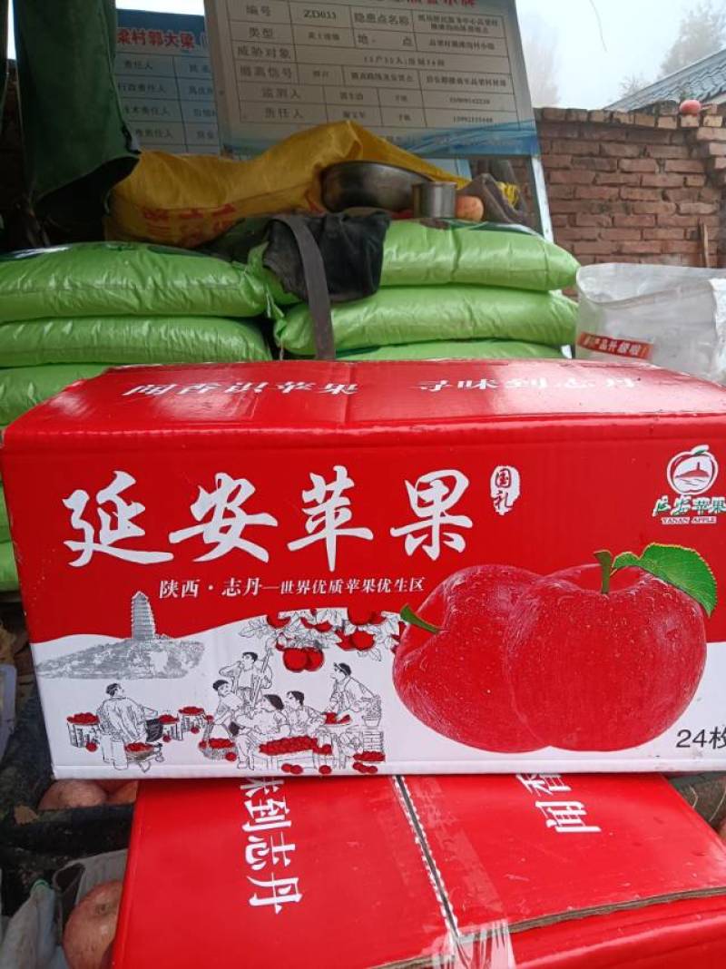 【延安产精品苹果，新鲜上市】