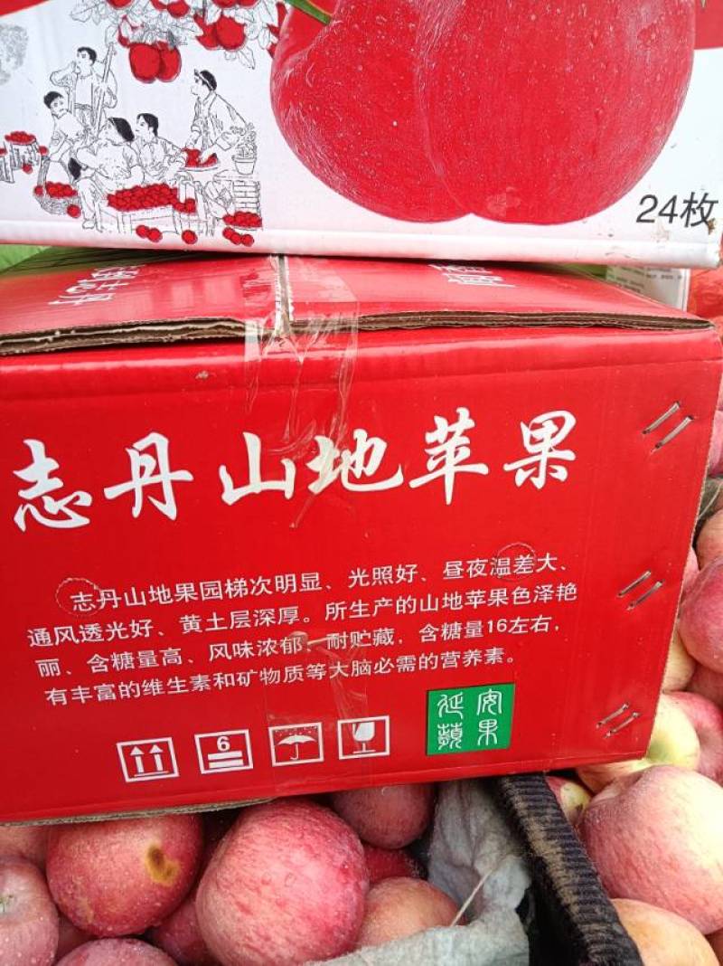 【延安产精品苹果，新鲜上市】