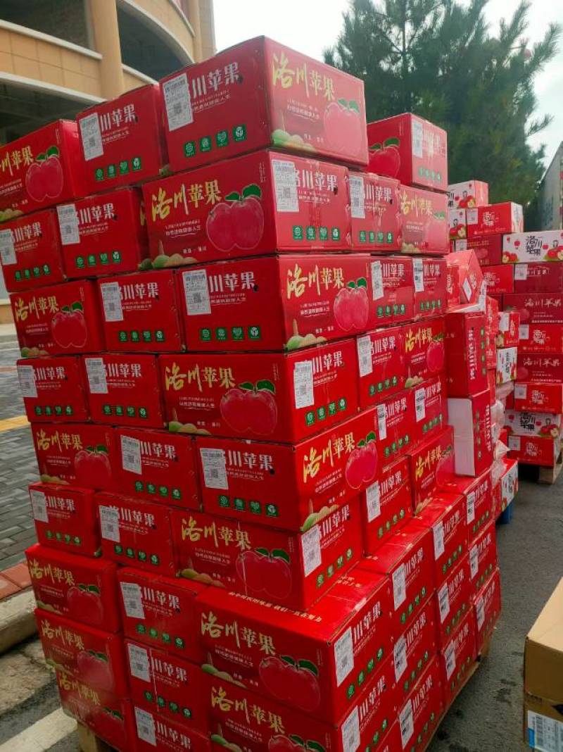 【延安产精品苹果，新鲜上市】