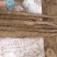 华州精品白玉山药大量上市量大从优货源充足支持视频看货