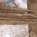 华州精品白玉山药大量上市量大从优货源充足支持视频看货