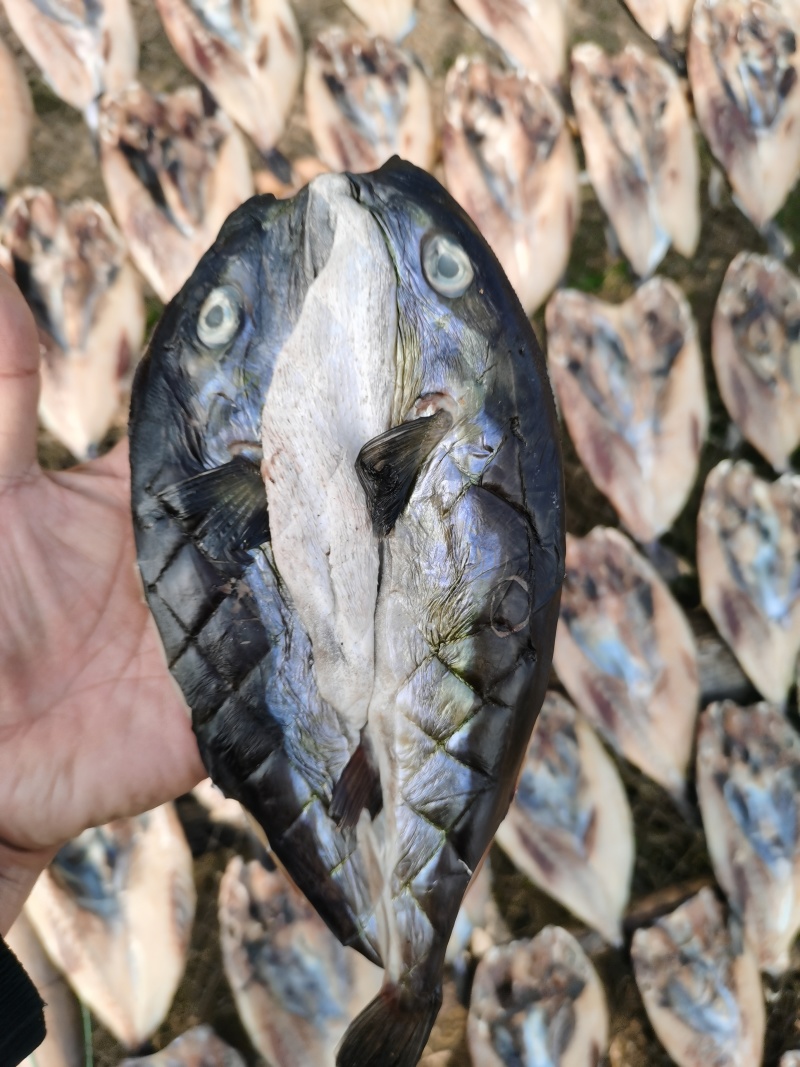 河豚干