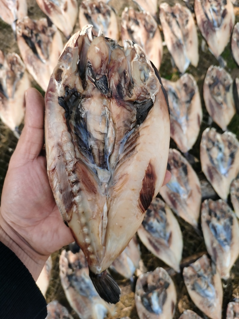 河豚干