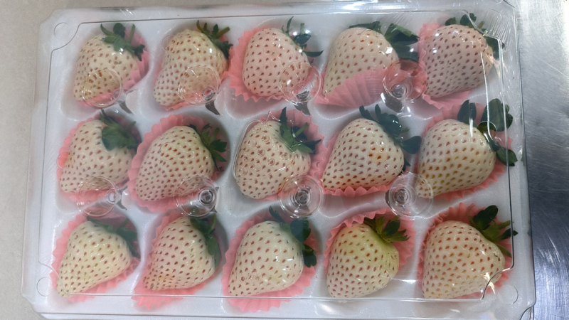 云南冬草莓，粉玉，随株，梦之莹