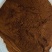 暴马黄，桑黄，各种规格，片，块，粉
