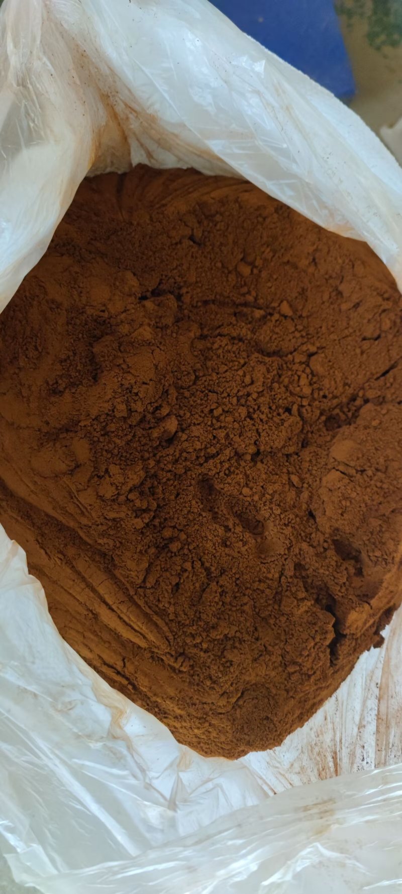 暴马黄，桑黄，各种规格，片，块，粉