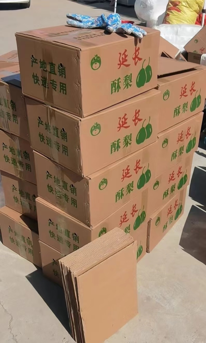 陕西延安延长县皇冠酥梨