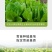 育苗基质栽培基质花卉营养土50L蔬菜瓜果花卉通用型
