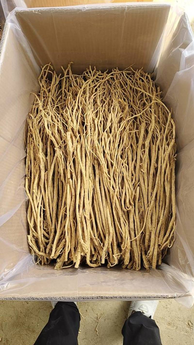 防风