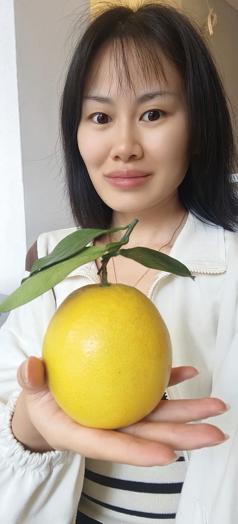 赣南脐橙开卖了