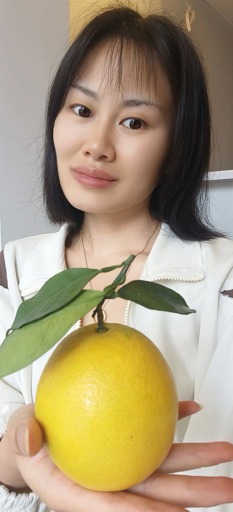 赣南脐橙开卖了