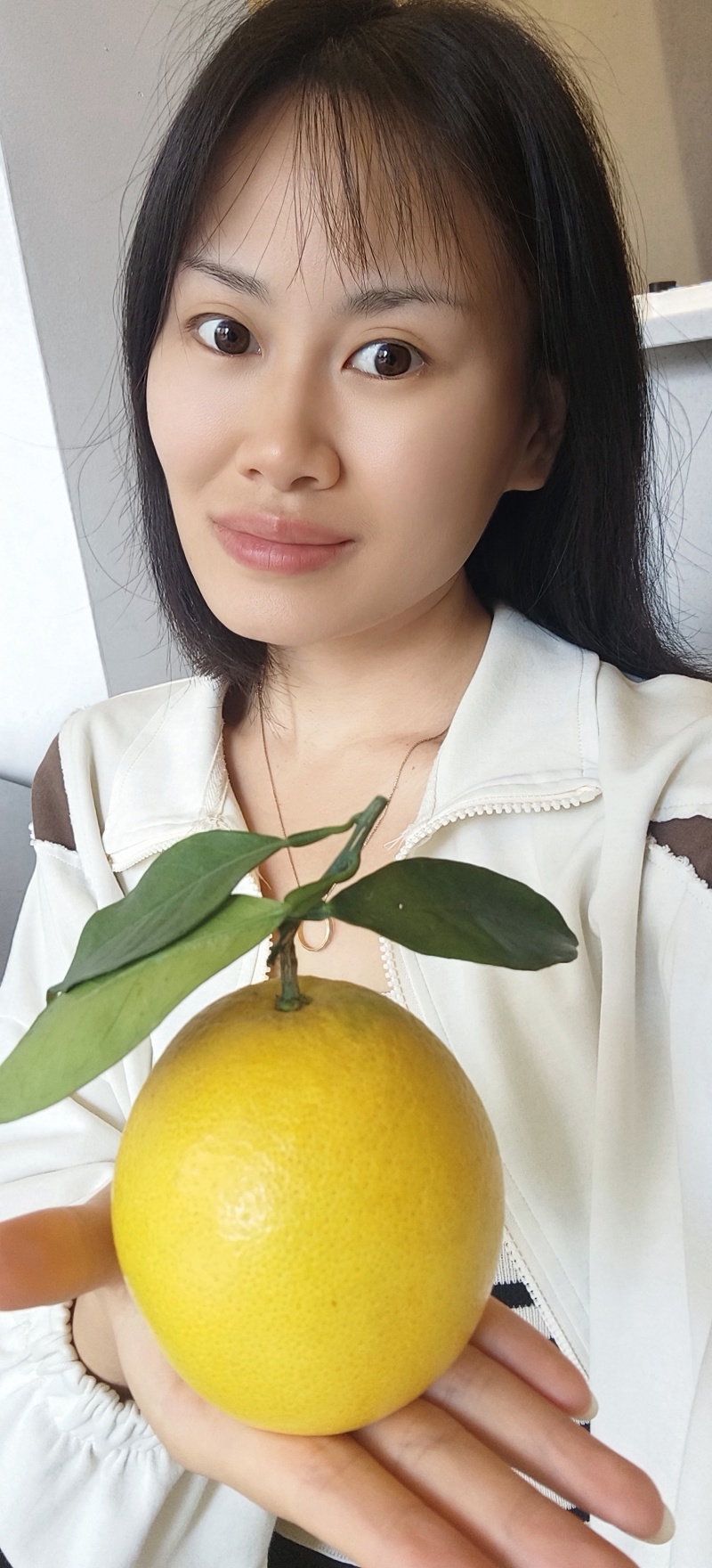 赣南脐橙开卖了