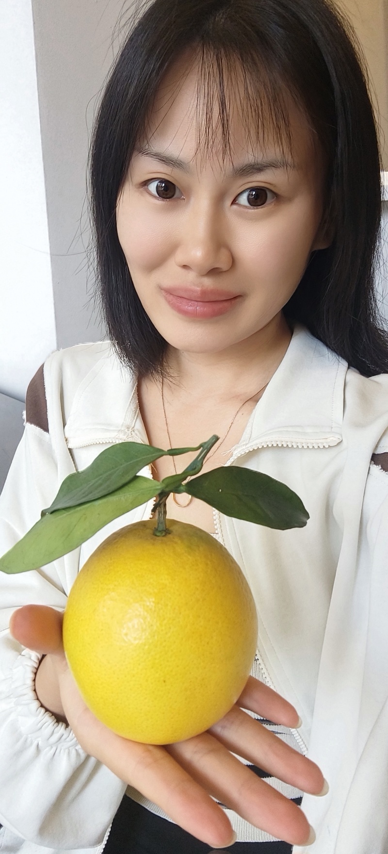 赣南脐橙开卖了
