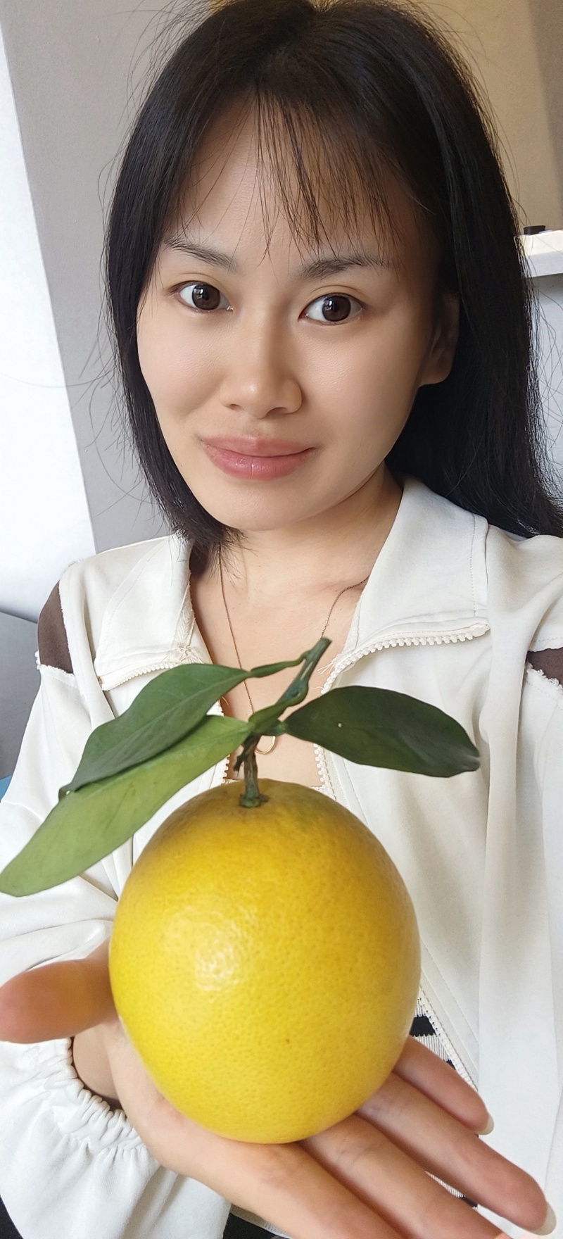 赣南脐橙开卖了