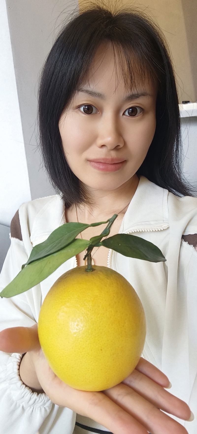 赣南脐橙开卖了