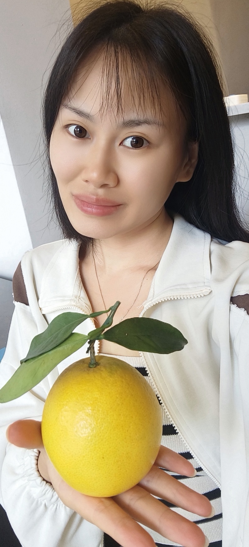 赣南脐橙开卖了