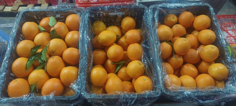 赣南脐橙开卖了