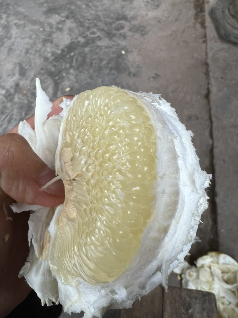 柚子