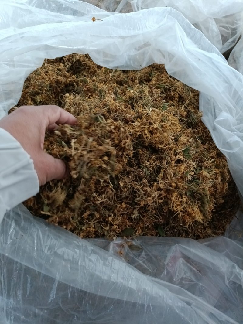 贵州五彩花