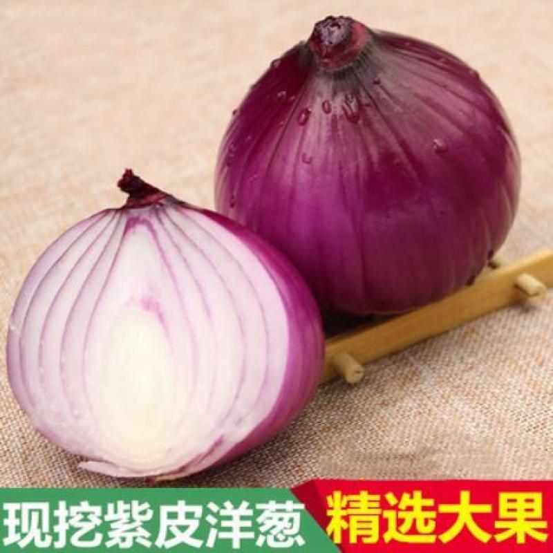 黑龙江紫皮洋葱，产地直发，保质保量，对接全国，量大从优