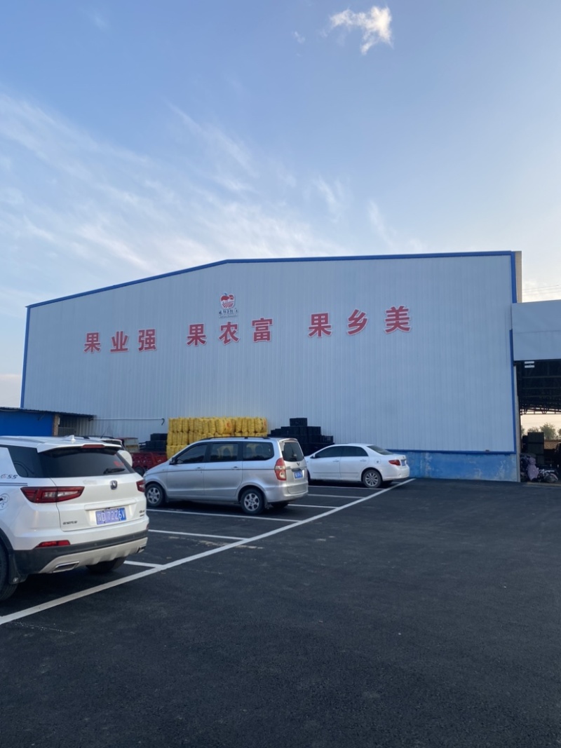 20万爱妃苹果，