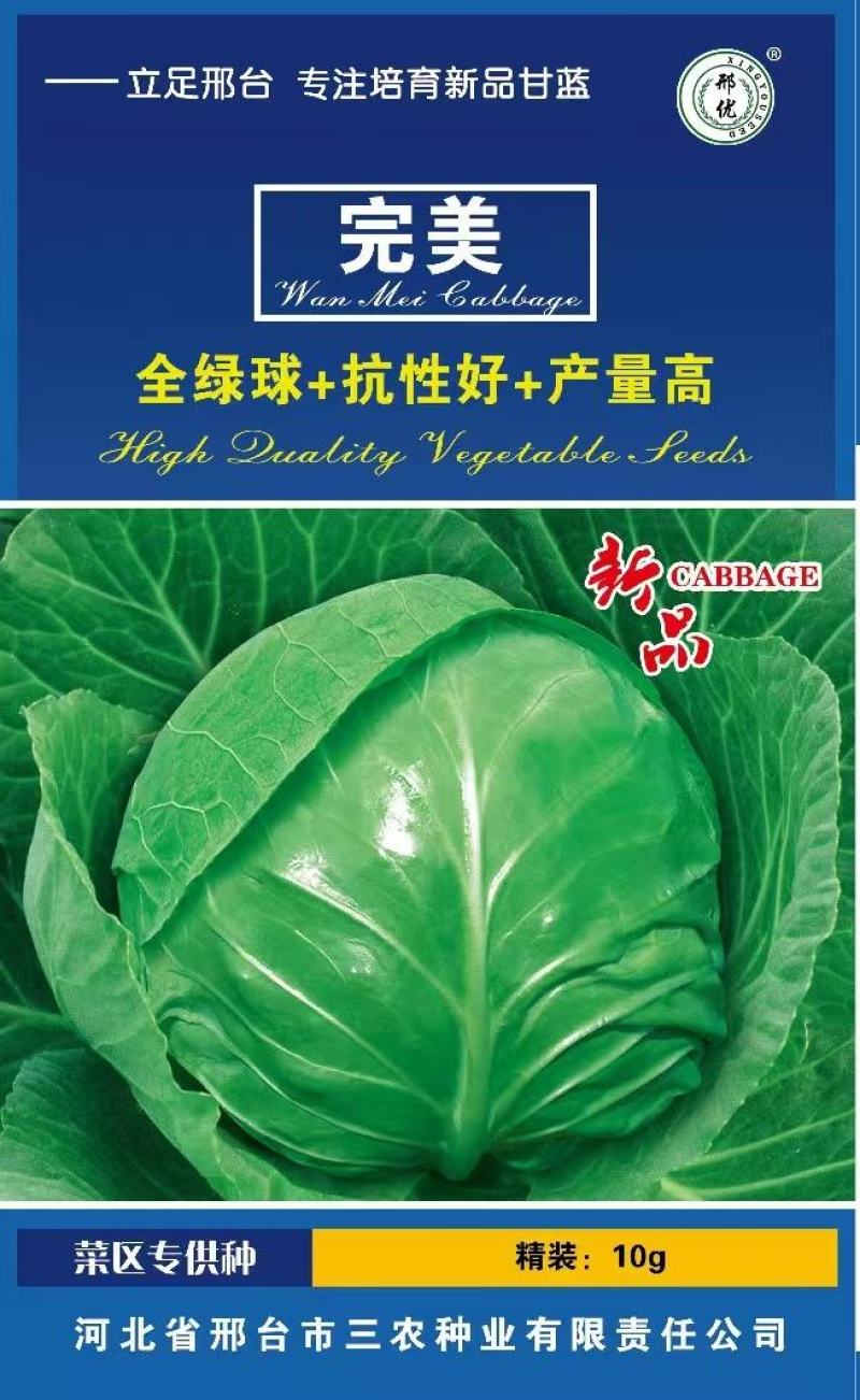 甘蓝种子**口感型圆球甘蓝叶色全绿脆甜抗性好产量高