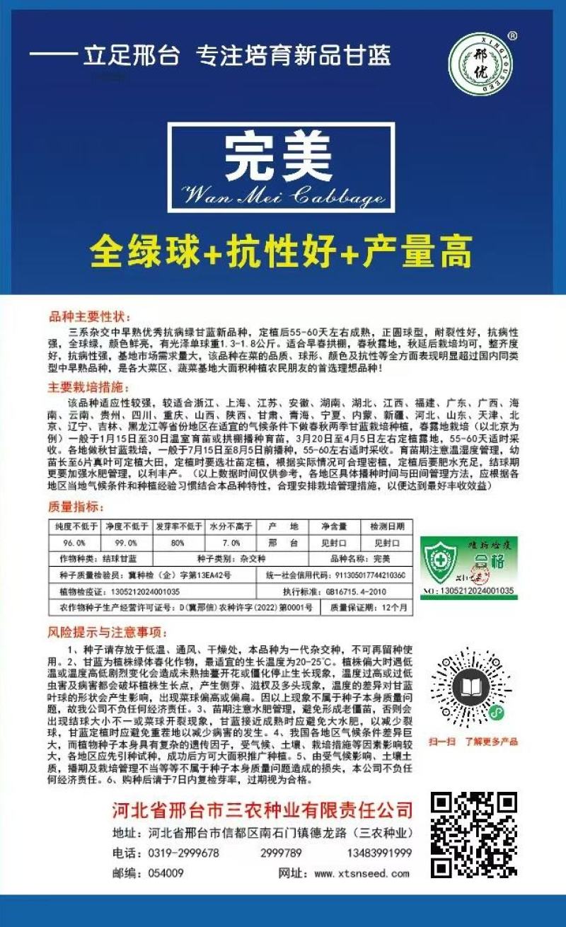 甘蓝种子**口感型圆球甘蓝叶色全绿脆甜抗性好产量高