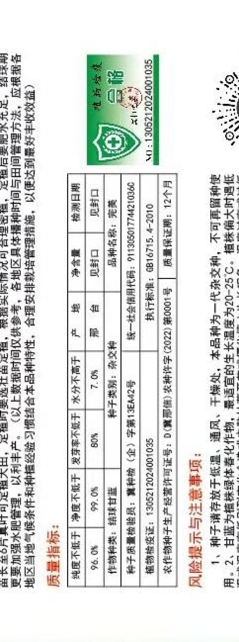 甘蓝种子**口感型圆球甘蓝叶色全绿脆甜抗性好产量高