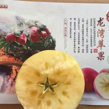 黄河石林红富士苹果