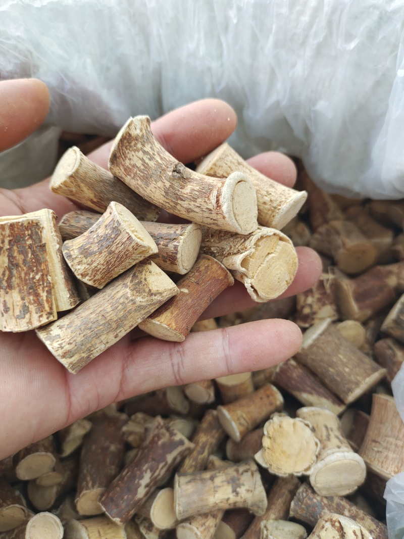 广西野生五指毛桃精选中根!小节!欢迎致电咨询