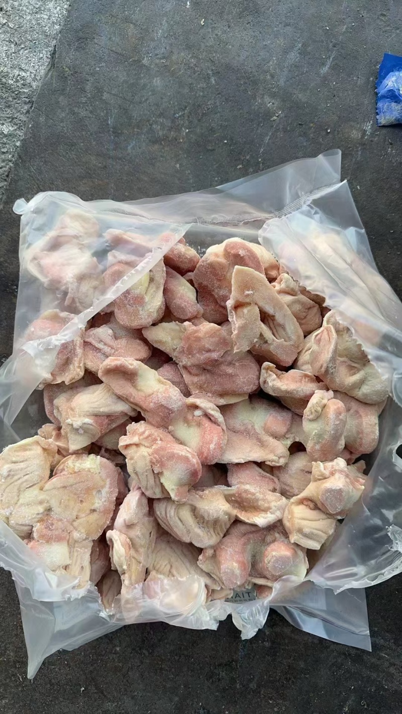 肉食鸡鸡胗，净胗，胃胗，一公斤一包，小包子各种规格，都有