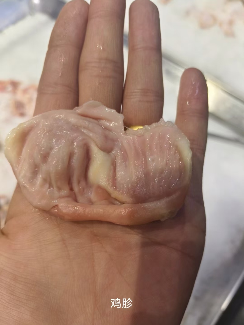 肉食鸡鸡胗，净胗，胃胗，一公斤一包，小包子各种规格，都有