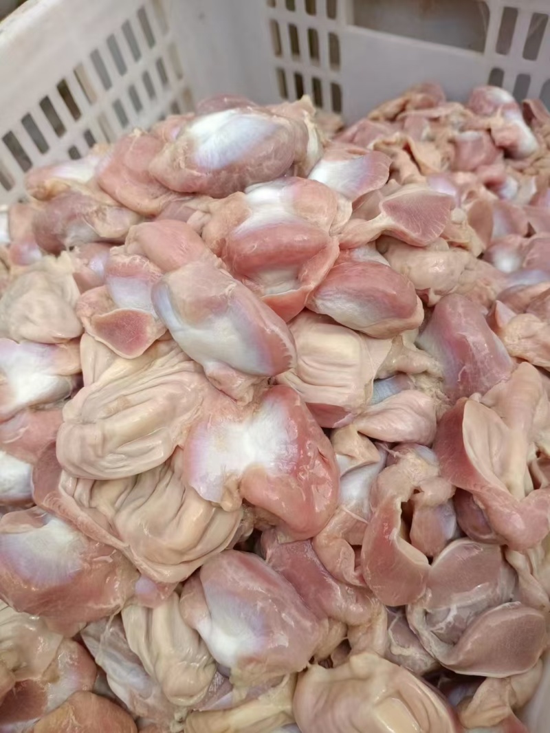 肉食鸡鸡胗，净胗，胃胗，一公斤一包，小包子各种规格，都有