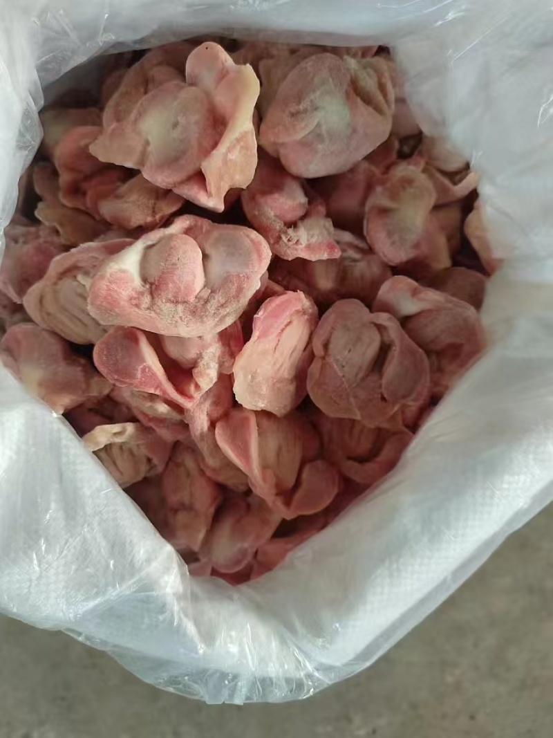 各种鸡胗，817蛋鸡胗公鸡胗，乌鸡胗都有货