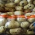 精品好货V七，226，实验一，沃土，希森，荷兰等品种