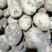 精品好货V七，226，实验一，沃土，希森，荷兰等品种
