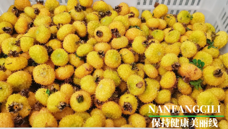 【新品】原滋原味南方刺梨之香十成熟鲜果原榨