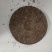 松木寄生，寄生茶饼，一斤一饼