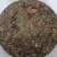 山楂寄生，山楂寄生茶饼，一斤一饼