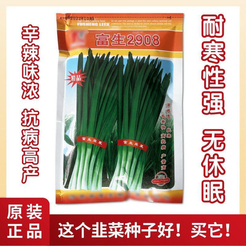 富生2908韭菜种子耐寒耐高温抗老化无干尖辛辣味