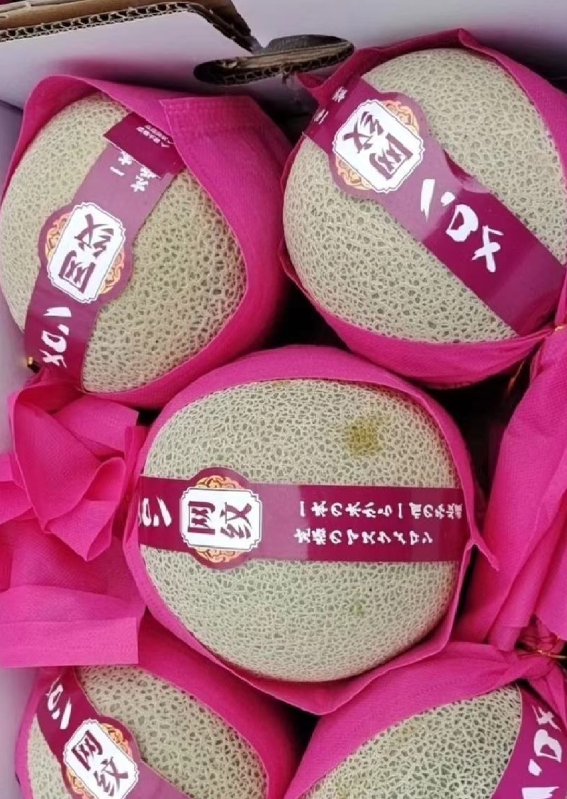 海南哈密瓜网纹瓜玫珑瓜香甜可口冰淇淋口感