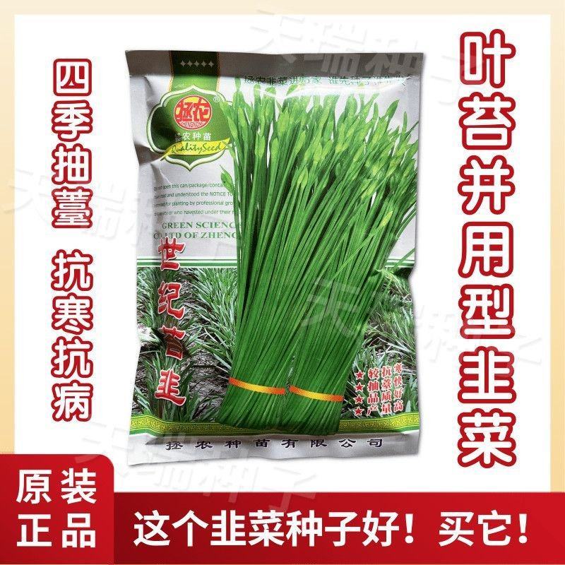 世纪苔韭种子韭苔种子叶台兼用四季抽苔抗寒抗病