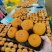 流心冰柿饼源头基地广西桂林源头一手货源加工厂冰柿甜蜜蜜
