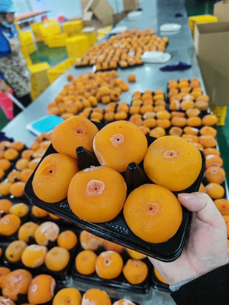 流心冰柿饼源头基地广西桂林源头一手货源加工厂冰柿甜蜜蜜