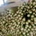河南安阳产地直发新鲜芹菜批发零售
