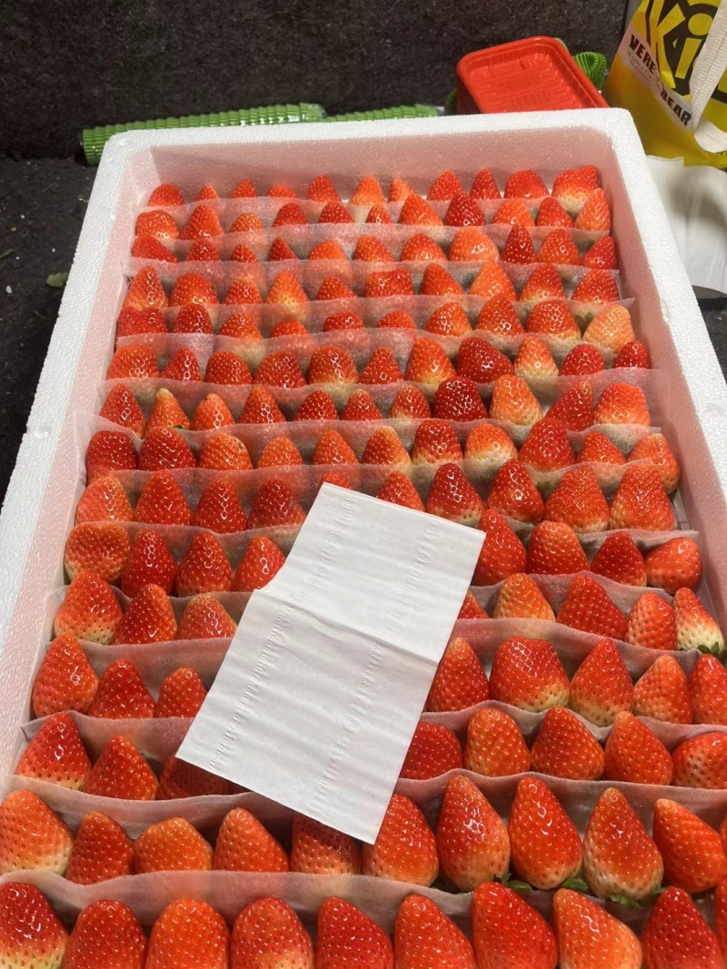 妙香草莓大量上市
