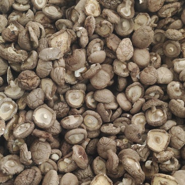 热销西峡食用菌香菇2.5-3cm纸箱包装帮助找车物流