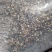 热销西峡食用菌香菇2.5-3cm纸箱包装帮助找车物流
